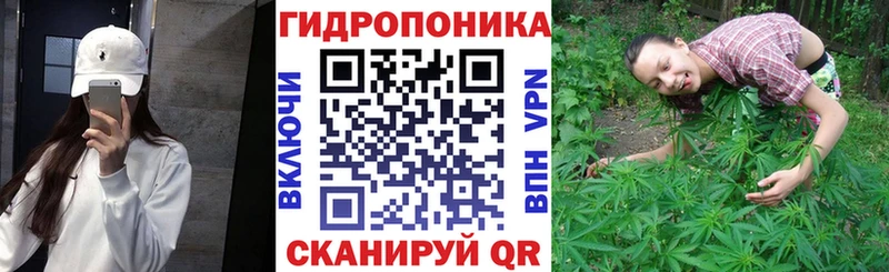 Купить наркотики цена Урус-Мартан Кокаин  Галлюциногенные грибы  Бошки Шишки  А ПВП 