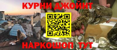 гидра Кингисепп