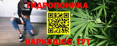 тгк Кинель