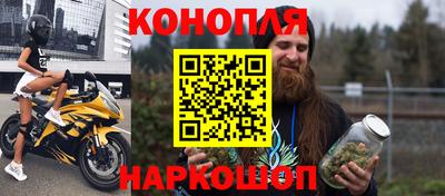 гидра Кингисепп