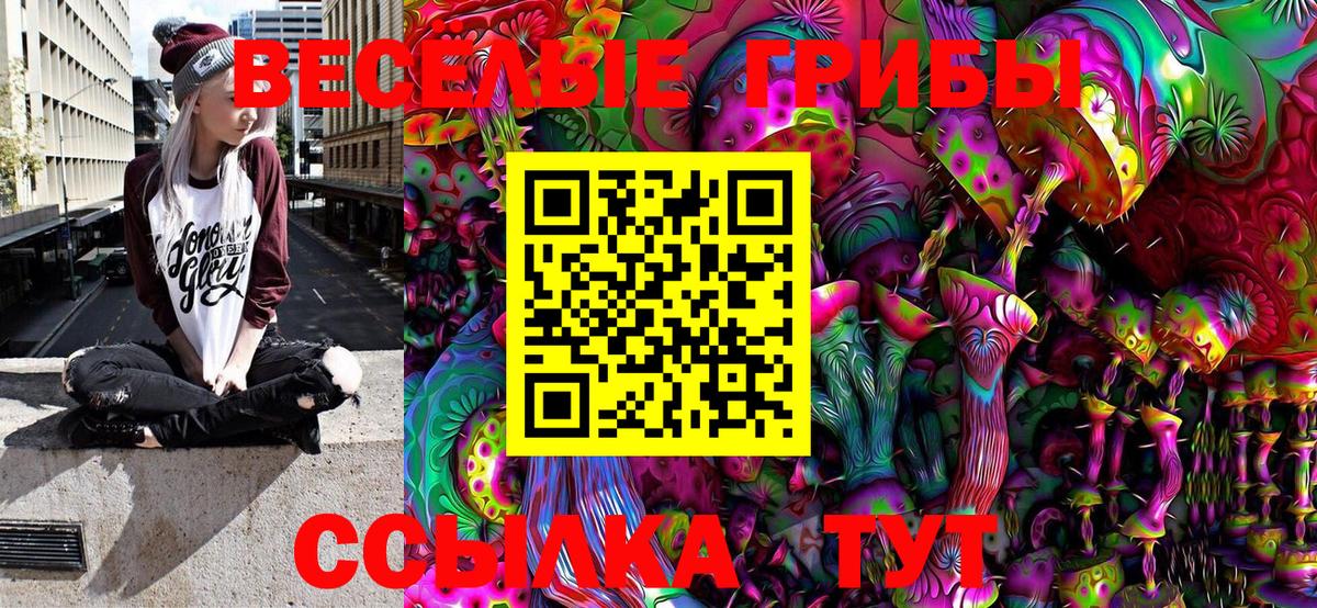 Псилоцибиновые грибы Psilocybe  Урус-Мартан 