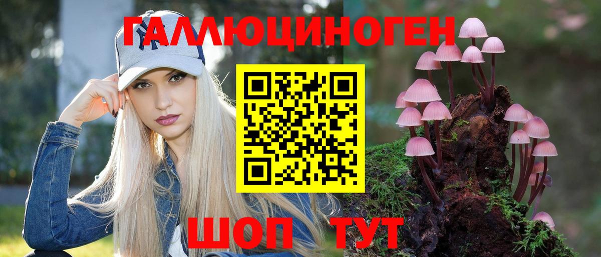 Галлюциногенные грибы прущие грибы Урус-Мартан
